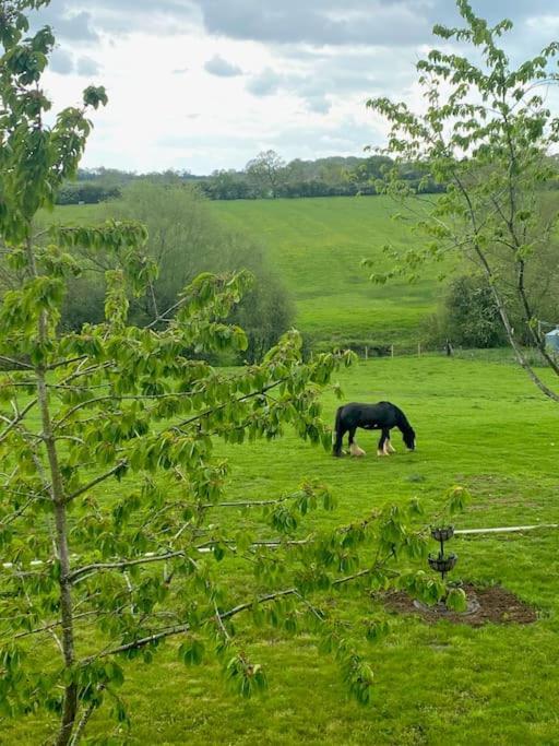 Villa Field View à Braunston  Extérieur photo